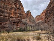 025-Zion-Natl-Park