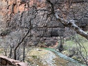 030-Zion-Natl-Park