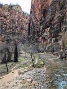 032-Zion-Natl-Park