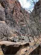 036-Zion-Natl-Park