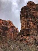 043-Zion-Natl-Park