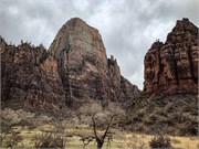 049-Zion-Natl-Park