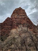 050-Zion-Natl-Park