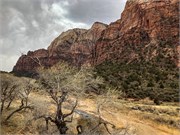 052-Zion-Natl-Park
