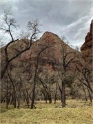 053-Zion-Natl-Park
