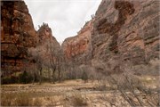 066-Zion-WideAngle