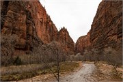067-Zion-WideAngle