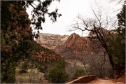 071-Zion-WideAngle