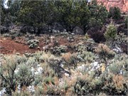 032-Kolob-Canyon-Zion