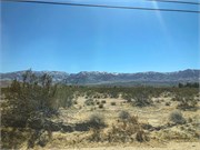016-D-Valley2JoshuaTree