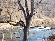 002-Tuckaseegee01142021