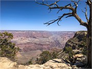 015-GrandCanyonSusan