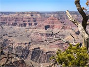 020-GrandCanyonSusan