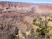 024-GrandCanyonSusan