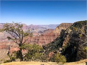 025-GrandCanyonSusan
