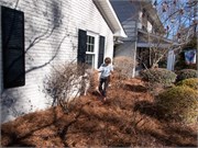 001-PineStraw