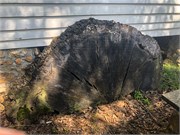 026-BillsMemorial2021