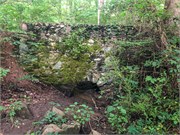 006-LandsfordCanalLillys
