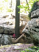 024-RockCity_Cooper