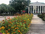 002-Raleigh_WalkTour