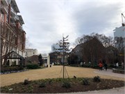 004-Charlotte-Walking