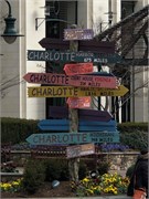 005-Charlotte-Walking