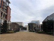 006-Charlotte-Walking