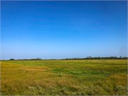 002-Chincoteague_VA