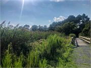 010-Assateague_VA