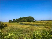 011-Assateague_VA