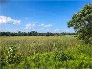 012-Assateague_VA