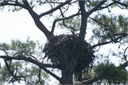 009-Assateague_Cruise