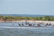 011-Assateague_Cruise