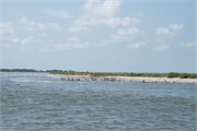012-Assateague_Cruise