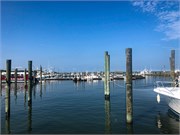 015-Assateague_Cruise