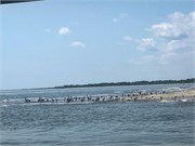 018-Assateague_Cruise