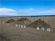 020-OceanCity-MD