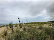 008-Rehoboth-DE