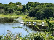 032-CapeMay-NJ