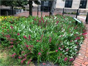 011-Richmond-VA