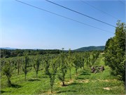 003-09122021_Justus-Apple-Farm