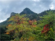 006-09182021_GrandfatherMtn