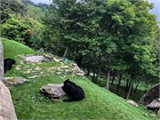 020-09182021_GrandfatherMtn