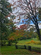 023-09182021_GrandfatherMtn