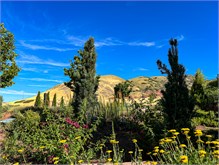 008__Red-Bluff