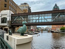 020_Gertie-the-Duck