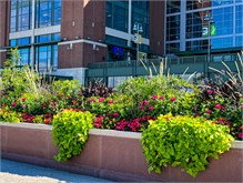 009_Lambeau_Field