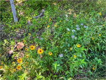 004_Peninsula-Park-WI