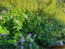 005_Peninsula-Park-WI