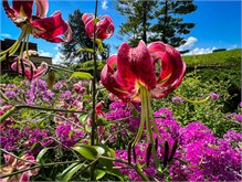 016_Taliesin_Wisconsin